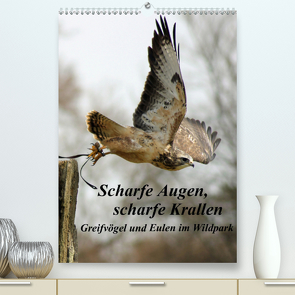 Scharfe Krallen, scharfe Augen, Greifvögel und Eulen im Wildpark (Premium, hochwertiger DIN A2 Wandkalender 2021, Kunstdruck in Hochglanz) von Bönner,  Marion