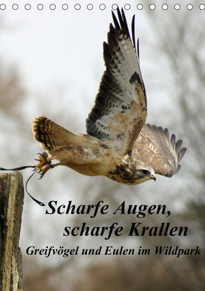 Scharfe Krallen, scharfe Augen, Greifvögel und Eulen im Wildpark (Tischkalender 2021 DIN A5 hoch) von Bönner,  Marion