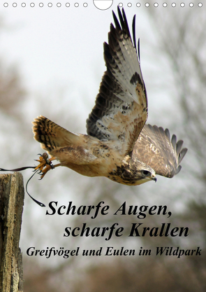 Scharfe Krallen, scharfe Augen, Greifvögel und Eulen im Wildpark (Wandkalender 2021 DIN A4 hoch) von Bönner,  Marion