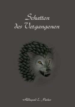 Schatten des Vergangenen von Merkes,  Hildegard E.