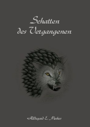 Schatten des Vergangenen von Merkes,  Hildegard E.