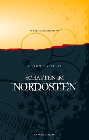 Schatten im Nordosten von Schwanemann,  Peter