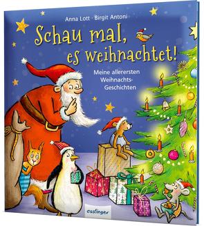 Schau mal, es weihnachtet! von Antoni,  Birgit, Lott,  Anna