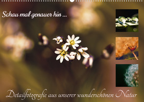 Schau mal genauer hin … Detailfotografie aus unserer wunderschönen Natur (Wandkalender 2022 DIN A2 quer) von Schwarzbach-Kraatz,  Mandy