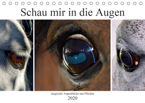 Schau mir in die Augen – magische Augenblicke mit Pferden (Tischkalender 2020 DIN A5 quer) von Fotokullt, Kull,  Isabell