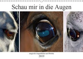 Schau mir in die Augen – magische Augenblicke mit Pferden (Wandkalender 2019 DIN A3 quer) von Fotokullt, Kull,  Isabell