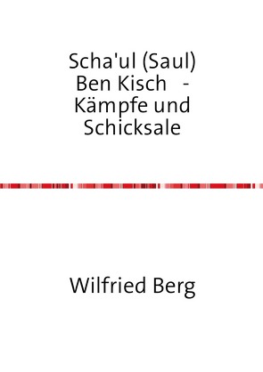 Scha’ul (Saul) Ben Kisch – Kämpfe und Schicksale von Berg,  Wilfried