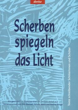 Scherben spiegeln das Licht von Bierbass,  Dirk, Blech,  Juliane, Naugk,  Nadine