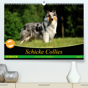 Schicke Collies (Premium, hochwertiger DIN A2 Wandkalender 2021, Kunstdruck in Hochglanz) von Janetzek,  Yvonne