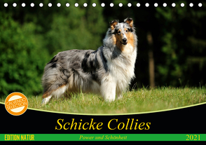 Schicke Collies (Tischkalender 2021 DIN A5 quer) von Janetzek,  Yvonne