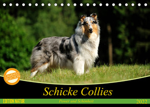 Schicke Collies (Tischkalender 2022 DIN A5 quer) von Janetzek,  Yvonne