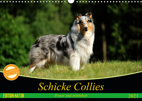 Schicke Collies (Wandkalender 2021 DIN A3 quer) von Janetzek,  Yvonne