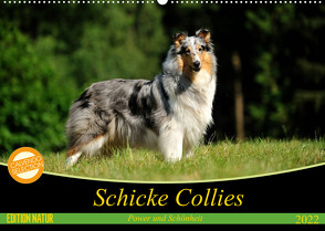 Schicke Collies (Wandkalender 2022 DIN A2 quer) von Janetzek,  Yvonne