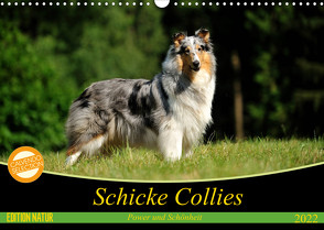 Schicke Collies (Wandkalender 2022 DIN A3 quer) von Janetzek,  Yvonne