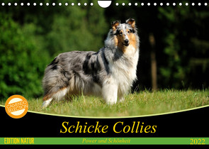 Schicke Collies (Wandkalender 2022 DIN A4 quer) von Janetzek,  Yvonne