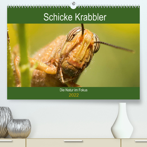 Schicke Krabbler (Premium, hochwertiger DIN A2 Wandkalender 2022, Kunstdruck in Hochglanz) von Krakowski,  Conny