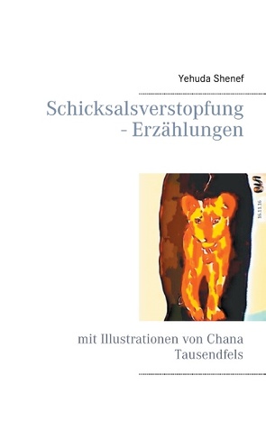 Schicksalsverstopfung – Erzählungen von Shenef,  Yehuda