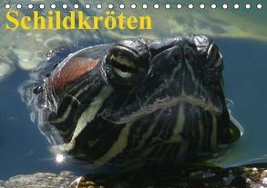 Schildkröten (Tischkalender immerwährend DIN A5 quer) von Stanzer,  Elisabeth