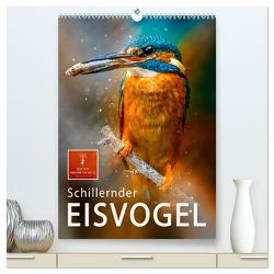 Schillernder Eisvogel (hochwertiger Premium Wandkalender 2024 DIN A2 hoch), Kunstdruck in Hochglanz von Roder,  Peter