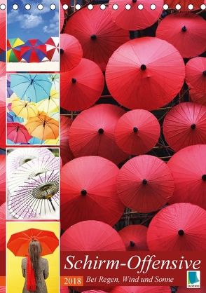 Schirm-Offensive: Bei Regen, Wind und Sonne (Tischkalender 2018 DIN A5 hoch) von CALVENDO