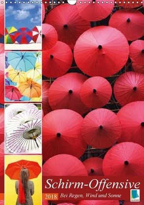 Schirm-Offensive: Bei Regen, Wind und Sonne (Wandkalender 2018 DIN A3 hoch) von CALVENDO
