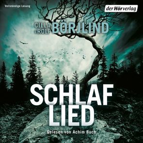 Schlaflied (Springflut 4) von Börjlind,  Cilla, Börjlind,  Rolf, Buch,  Achim, Hildebrand,  Christel