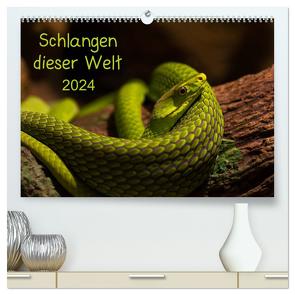 Schlangen dieser Welt (hochwertiger Premium Wandkalender 2024 DIN A2 quer), Kunstdruck in Hochglanz von GuidoTipka/GUTI-Fotos,  GuidoTipka/GUTI-Fotos