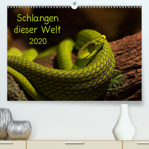 Schlangen dieser WeltAT-Version (Premium, hochwertiger DIN A2 Wandkalender 2020, Kunstdruck in Hochglanz) von GuidoTipka/GUTI-Fotos