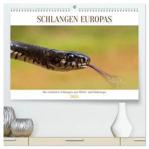 Schlangen Europas (hochwertiger Premium Wandkalender 2024 DIN A2 quer), Kunstdruck in Hochglanz von Simlinger,  Wolfgang