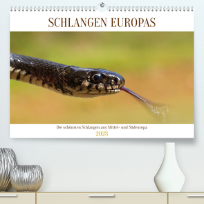 Schlangen Europas (Premium, hochwertiger DIN A2 Wandkalender 2023, Kunstdruck in Hochglanz) von Simlinger,  Wolfgang