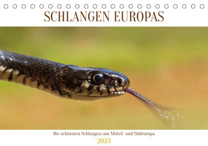 Schlangen Europas (Tischkalender 2023 DIN A5 quer) von Simlinger,  Wolfgang