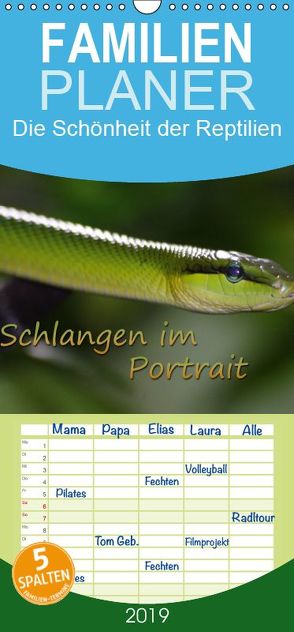 Schlangen im Portrait – Familienplaner hoch (Wandkalender 2019 , 21 cm x 45 cm, hoch) von Chawera