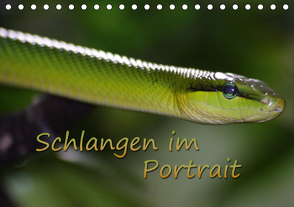 Schlangen im Portrait (Tischkalender 2021 DIN A5 quer) von Chawera