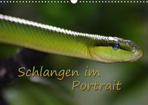 Schlangen im Portrait (Wandkalender 2020 DIN A3 quer) von Chawera