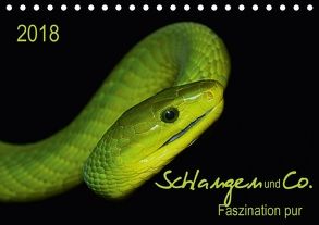 Schlangen und Co. – Faszination pur (Tischkalender 2018 DIN A5 quer) von Enkemeier,  Sigrid