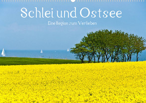 Schlei und Ostsee – Eine Region zum Verlieben (Wandkalender 2023 DIN A2 quer) von Hornecker,  Frank