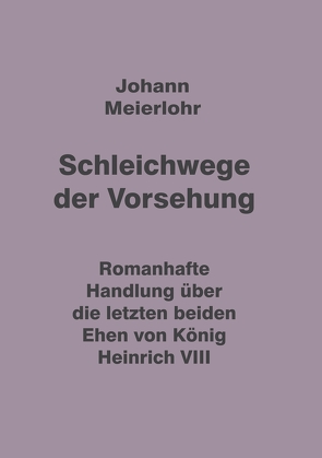 Schleichwege der Vorsehung von Meierlohr,  Johann