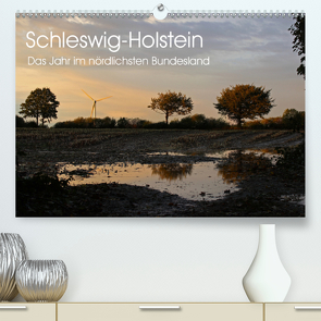 Schleswig-Holstein (Premium, hochwertiger DIN A2 Wandkalender 2021, Kunstdruck in Hochglanz) von Thomsen,  Ralf