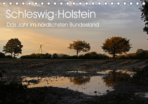 Schleswig-Holstein (Tischkalender 2021 DIN A5 quer) von Thomsen,  Ralf