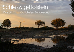 Schleswig-Holstein (Wandkalender 2021 DIN A2 quer) von Thomsen,  Ralf