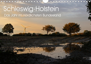 Schleswig-Holstein (Wandkalender 2021 DIN A4 quer) von Thomsen,  Ralf