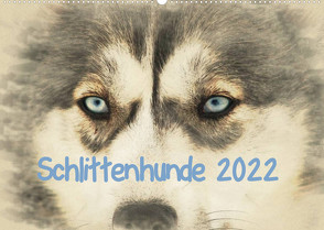 Schlittenhunde 2022 (Wandkalender 2022 DIN A2 quer) von Redecker,  Andrea