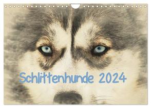 Schlittenhunde 2024 (Wandkalender 2024 DIN A4 quer), CALVENDO Monatskalender von Redecker,  Andrea