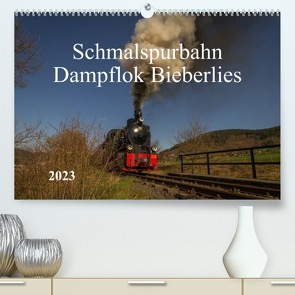 Schmalspurbahn Dampflok Bieberlies (Premium, hochwertiger DIN A2 Wandkalender 2023, Kunstdruck in Hochglanz) von Rein,  Simone