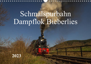 Schmalspurbahn Dampflok Bieberlies (Wandkalender 2023 DIN A3 quer) von Rein,  Simone