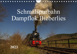 Schmalspurbahn Dampflok Bieberlies (Wandkalender 2023 DIN A4 quer) von Rein,  Simone