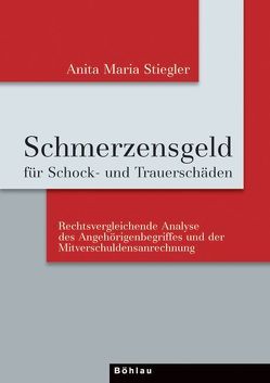 Schmerzengeld für Schock- und Trauerschäden von Spandl,  Anita Maria