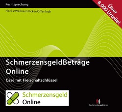 SchmerzensgeldBeträge Online