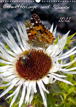 Schmetterlilnge und Blumen (Wandkalender 2022 DIN A3 hoch) von N.,  N.