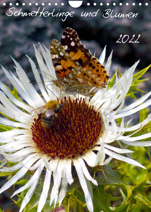 Schmetterlilnge und Blumen (Wandkalender 2022 DIN A4 hoch) von N.,  N.